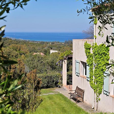 Domaine Punta Della Guardia Villa Vue Mer Dans Nature Protegee, Plage A 1,5 Km Cervione Ngoại thất bức ảnh